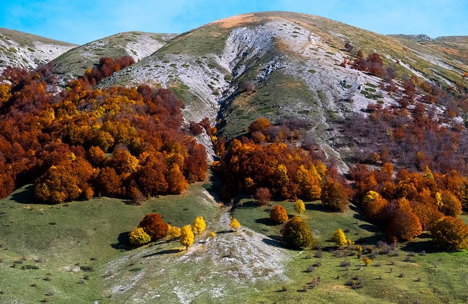 Delle montagne punteggiate di alberi dai colori autunnali nel Parco Nazionale d'Abruzzo, nei pressi di Pescasseroli