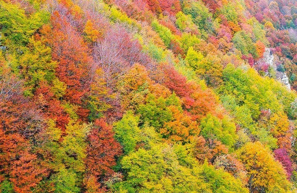 Versante alberato di una montagna del Parco Regionale dei Monti Picentini durante l'autunno, con gli alberi in pieno foliage