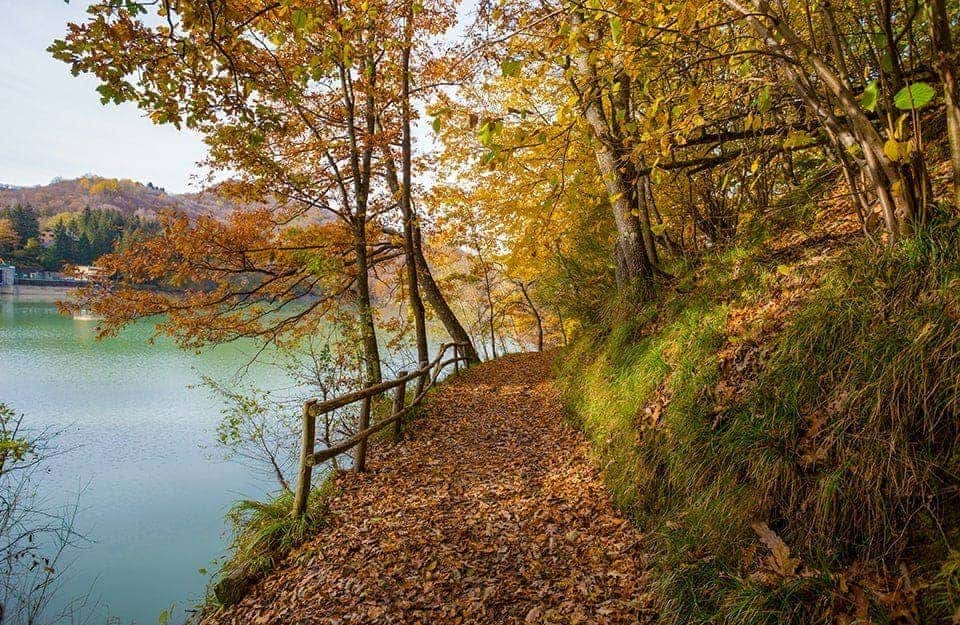 Un sentiero che passa accanto al lago di Brugneto, nel Parco regionale dell'Antola, in Liguria, in pieno autunno, con le foglie ingiallite degli alberi che ricoprono il terreno