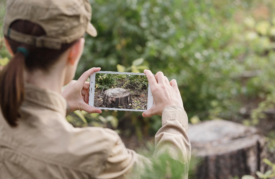 Una donna in divisa, vista da dietro in un bosco, fotografa con uno smartphone il ceppo di un albero tagliato, che si vede sullo schermo del telefono
