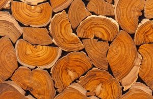 Sezione di diversi tronchi di legno di teak
