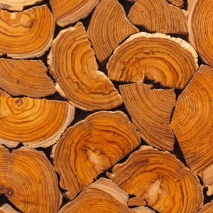 Sezione di diversi tronchi di legno di teak