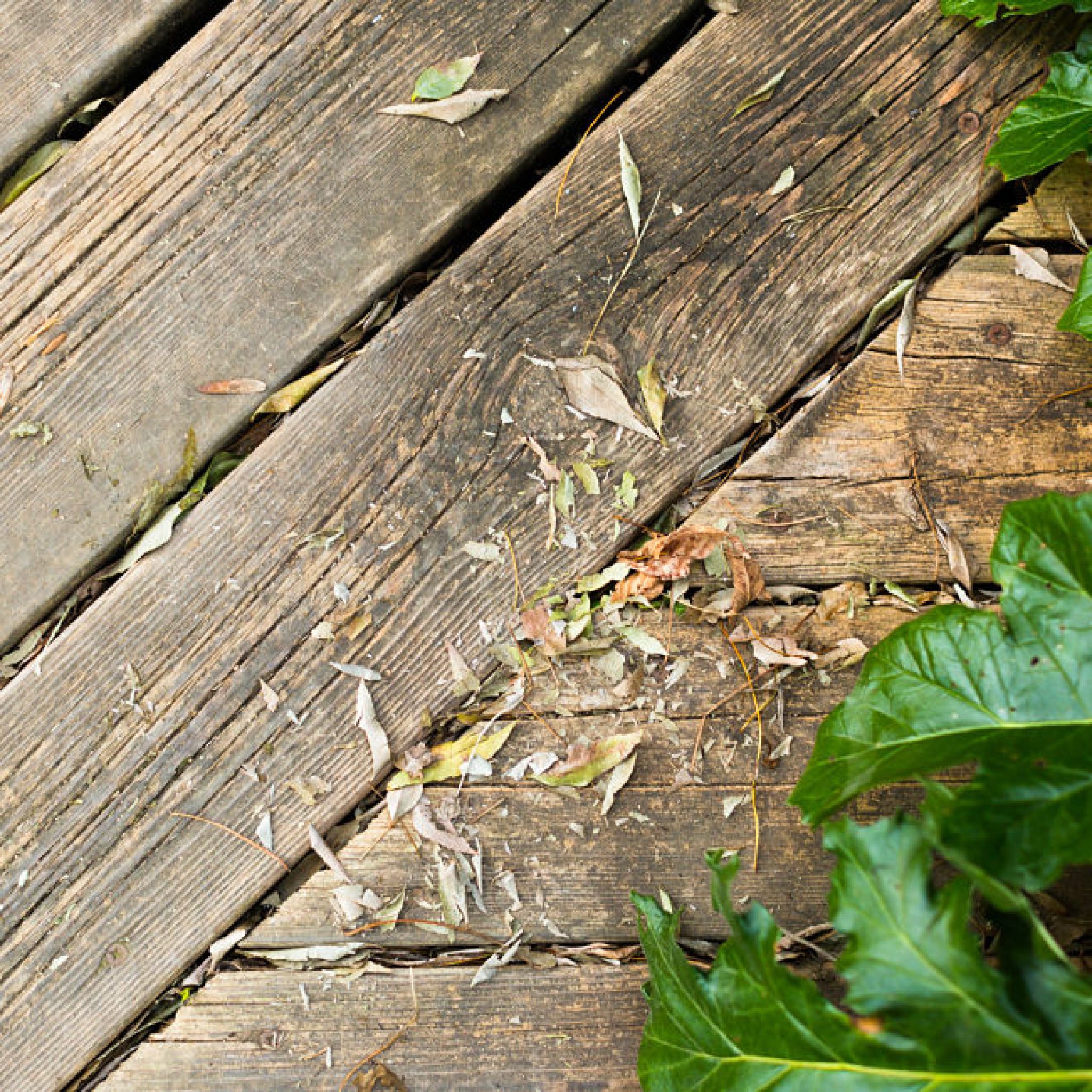 pavimenti in legno per giardino