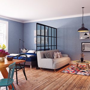 Arredamento interni, open-space con sala da pranzo, camera da letto e salotto con pavimento in parquet e un tappeto colorato