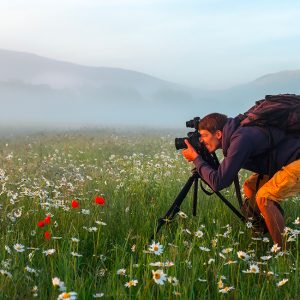 Anno Internazionale della Salute delle Piante: un concorso fotografico della FAO