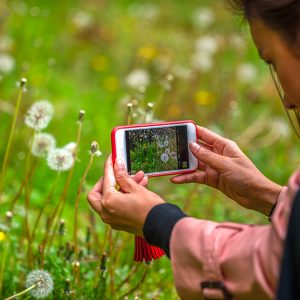 Anno Internazionale della Salute delle Piante: un concorso fotografico della FAO