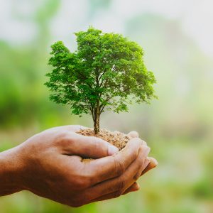 La verde Irlanda diventerà ancora più verde