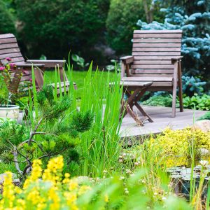 Come creare un giardino romantico