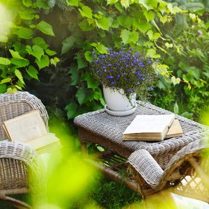 Come creare un giardino romantico