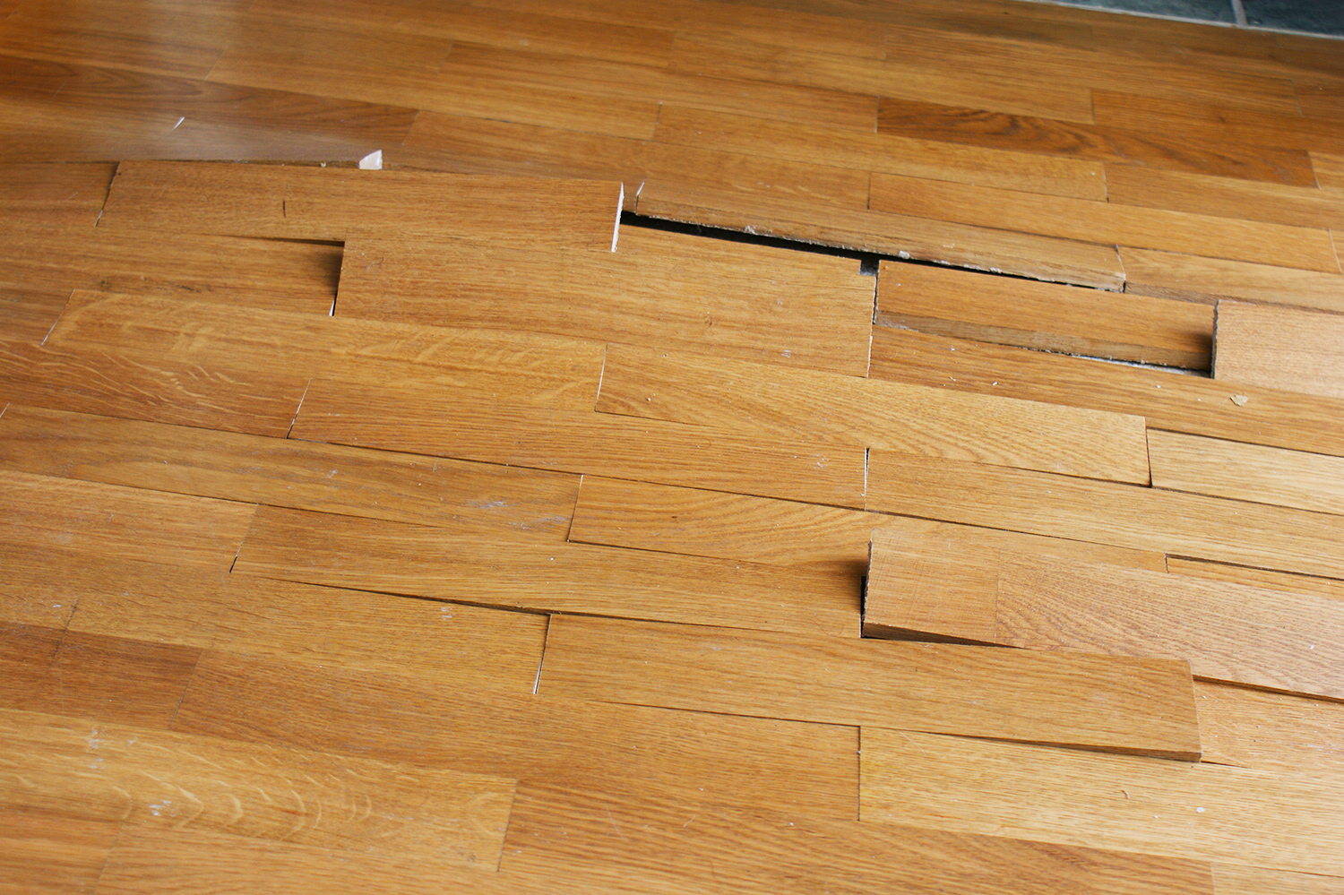 Quando il parquet si gonfia: perdita occulta d'acqua