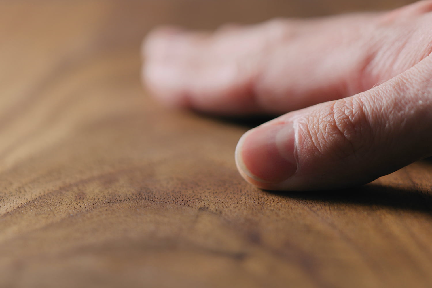 Capire il tipo di legno