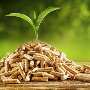 Come smaltire il parquet: rispettare l'ambiente