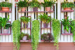 Giardino verticale come tendenza per il giardino 2021