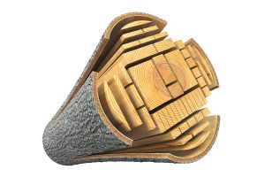 Legname che si ricava dall'albero