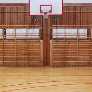 Perché a basket si gioca sul parquet?