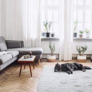 Quali formati del parquet scegliere in base all'ambiente