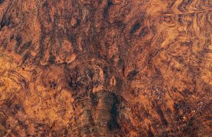 Parquet in doussié