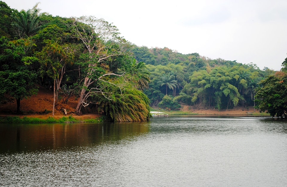 Foresta nei pressi di un lago nella Repubblica Democratica del Congo