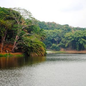 Foresta nei pressi di un lago nella Repubblica Democratica del Congo