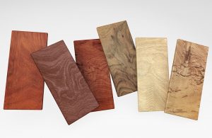 Le essenze più pregiate per il parquet: i legni europei