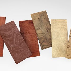 Le essenze più pregiate per il parquet: i legni europei