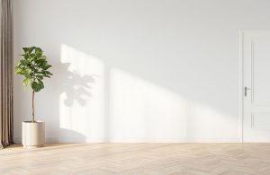 Stanza vuota e luminosa. Si vedono una porta bianca, pareti bianche e una pianta ad alberello con vaso bianco. Il parquet è in acero chiaro