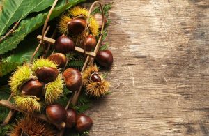Composizione con castagne e foglie di castagno su legno di castagno