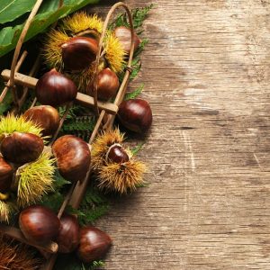 Composizione con castagne e foglie di castagno su legno di castagno