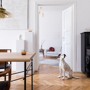 Vista su sala da pranzo e salotto di un appartamento moderno e confortevole. Il pavimento è un parquet e c'è un cane