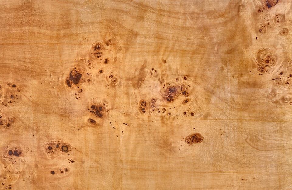 Tavola di legno con impiallacciatura di radica di pioppo