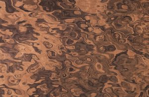 Pattern di un parquet in radica di noce