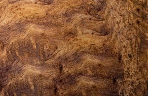 Le tipiche marezzature della radica