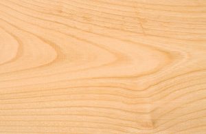Primo piano su un elemento in legno di faggio. Il legno è chiaro, con molte venature