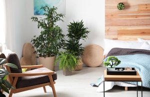 Camera da letto con piante, parquet e arredi in legno naturale, seguendo i principi del Feng Shui