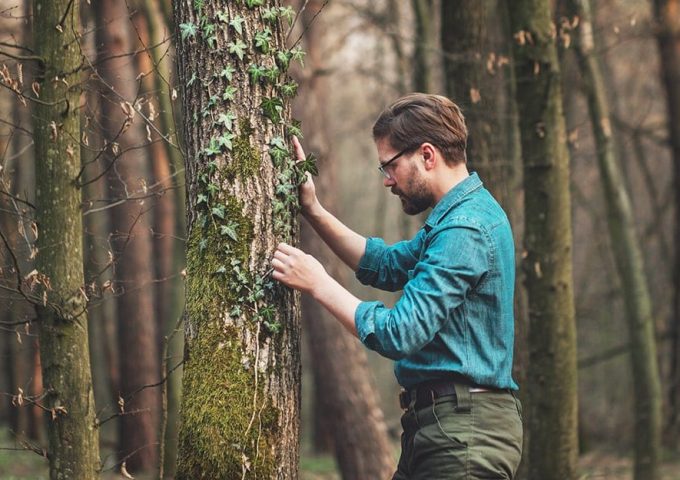 Un ricercatore studia il tronco di un albero in un fitto bosco