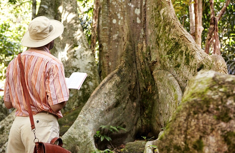 Uno studioso con taccuino, visto di spalle in mezzo a una foresta equatoriale