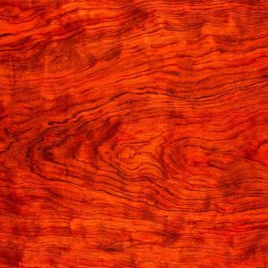 Superficie del parquet in bubinga
