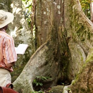 Uno studioso con taccuino, visto di spalle in mezzo a una foresta equatoriale