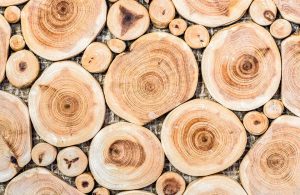 Vista dall'alto di una composizione creata con sezioni di tronchi e rami di betulla