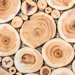 Vista dall'alto di una composizione creata con sezioni di tronchi e rami di betulla