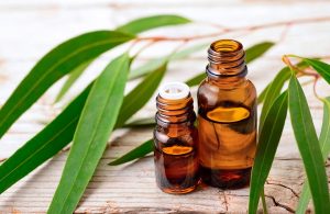 Due flaconcini di olio di eucalipto accanto ad alcune foglie della pianta, disposte su una superficie in legno