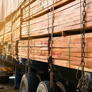 Camion che trasporta assi di legno, visto di lato, si avvicina a un