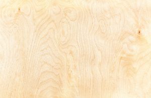 Dettaglio delle caratteristiche venature del parquet in betulla