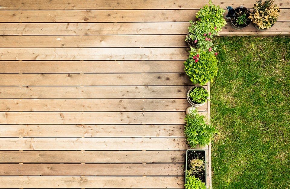 Vista dall'alto di un piccolo orto in vaso disposto sul bordo del decking