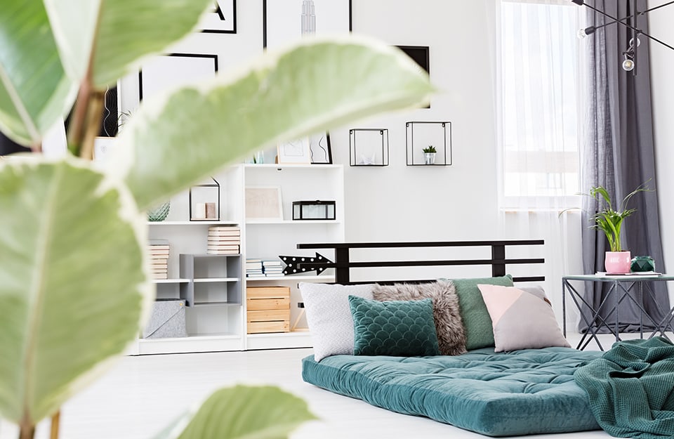 Camera da letto in stile Boho Chic, con parquet, materasso sul pavimento, piante, parete piena di quadri e scaffali con libri e oggetti