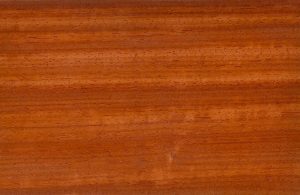 Dettaglio della texture del legno di padouk