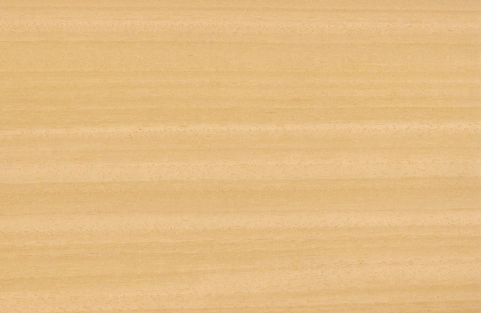 Primo piano sul caratteristico pattern del legno di obeche