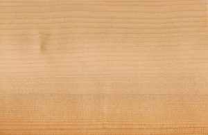 Primo piano sul caratteristico pattern del legno di cedro del Libano