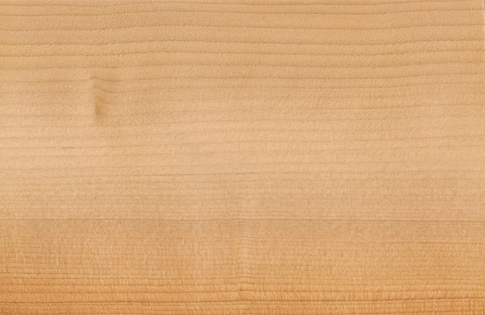 Primo piano sul caratteristico pattern del legno di cedro del Libano