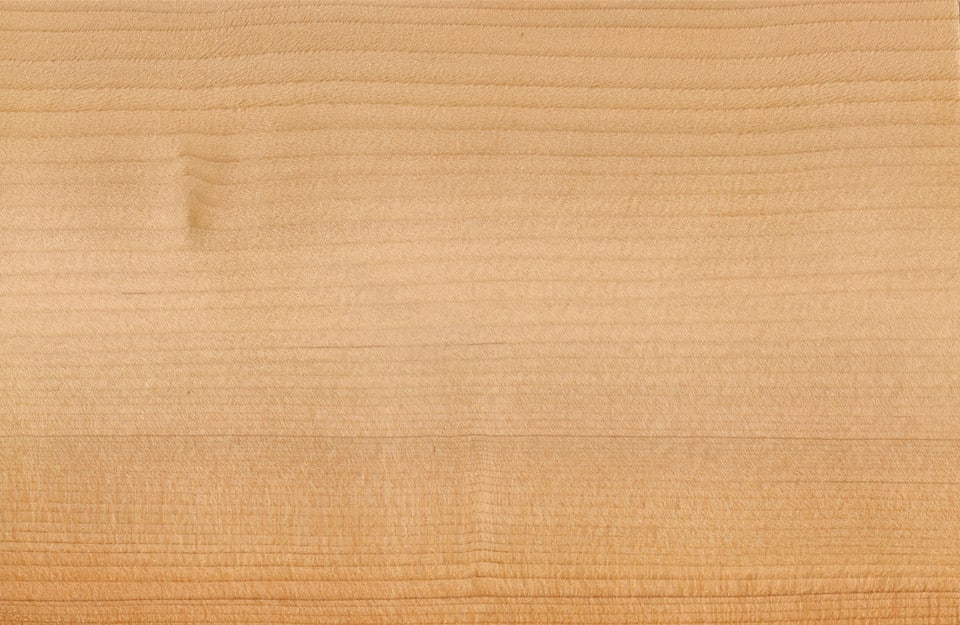 Primo piano sul caratteristico pattern del legno di cedro del Libano